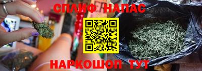 PSILOCYBIN Новокубанск