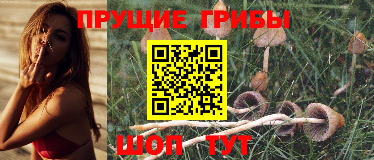 Рузаевка  Псилоцибиновые грибы Psilocybe  Вход с VPN 